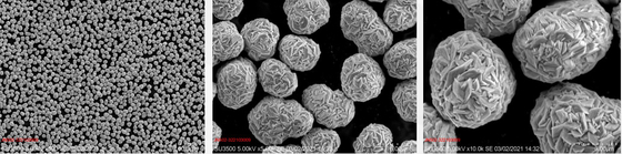 Vorläufer des Batterie-Kathoden-materieller Lithium-Nickel-Mangan-Kobalt-Oxid-Vorläufer-NMC