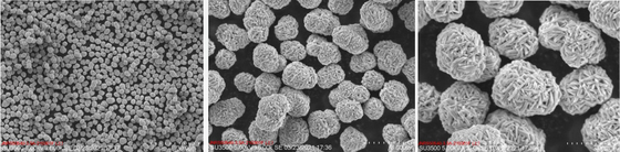 Vorläufer des Batterie-Kathoden-materieller Lithium-Nickel-Mangan-Kobalt-Oxid-Vorläufer-NMC